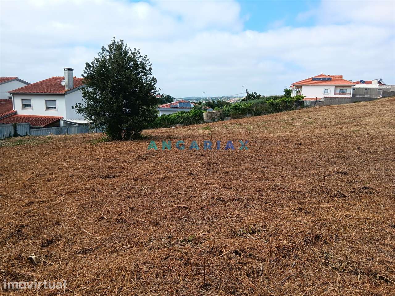 ANG1634 - Terreno para Venda em Batalha - Grande imagem: 3/3