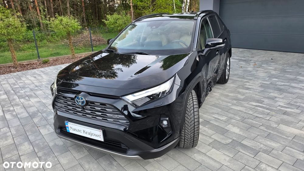 Toyota RAV4 2.5 Hybrid Executive 4x2 - 16