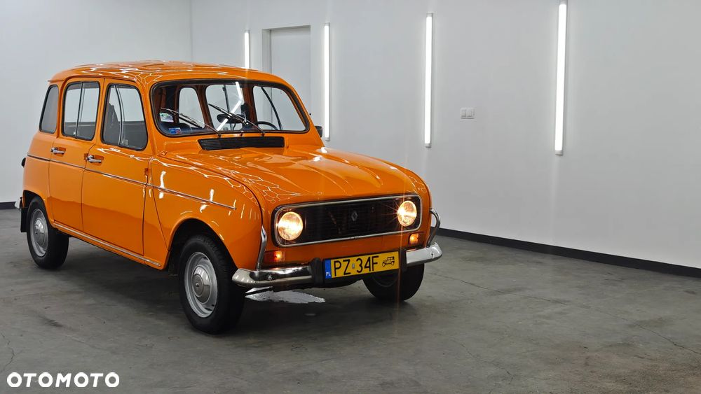 Renault 4 - 18