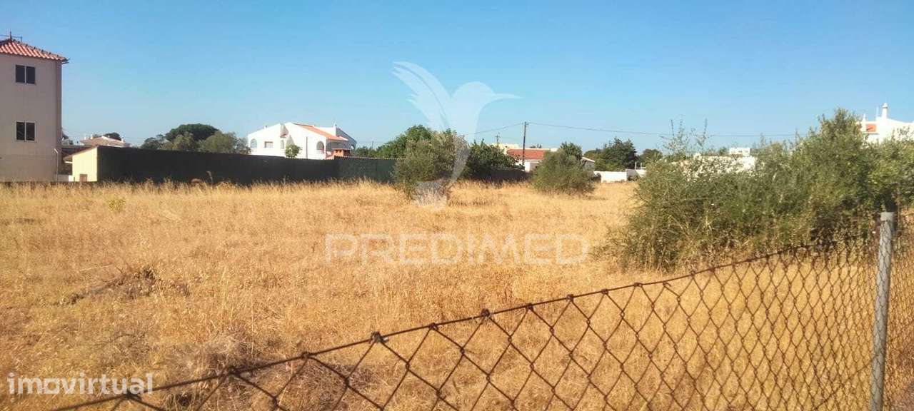 Terreno Agrícola com 2.700 m2  na Patâ de Baixo Albufeira - Grande imagem: 4/4