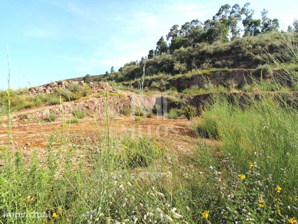 Lote em Carvoeiro - Grande imagem: 5/8