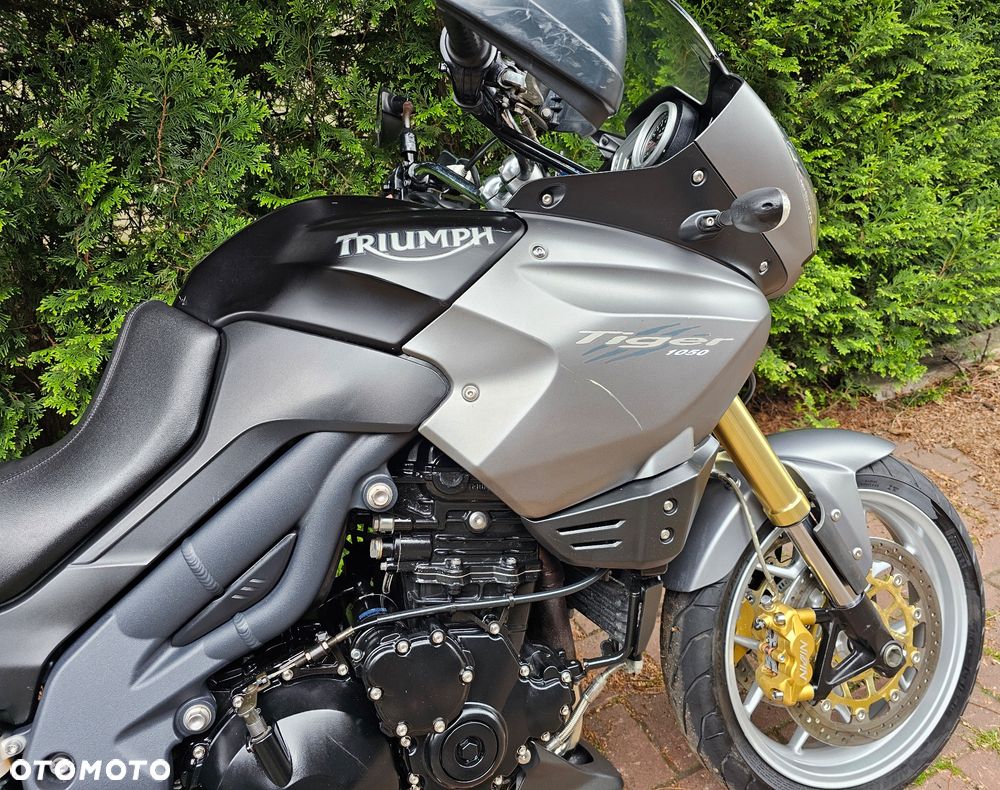 Triumph Tiger - 8