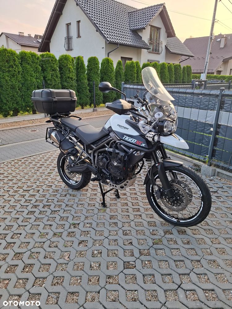 Triumph Tiger - 9