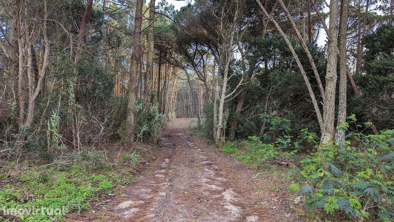 Terreno  para venda - Grande imagem: 3/18