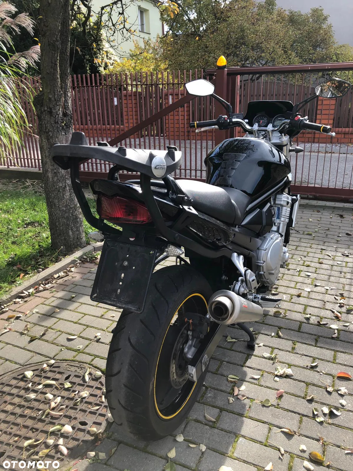 Suzuki Bandit - 8