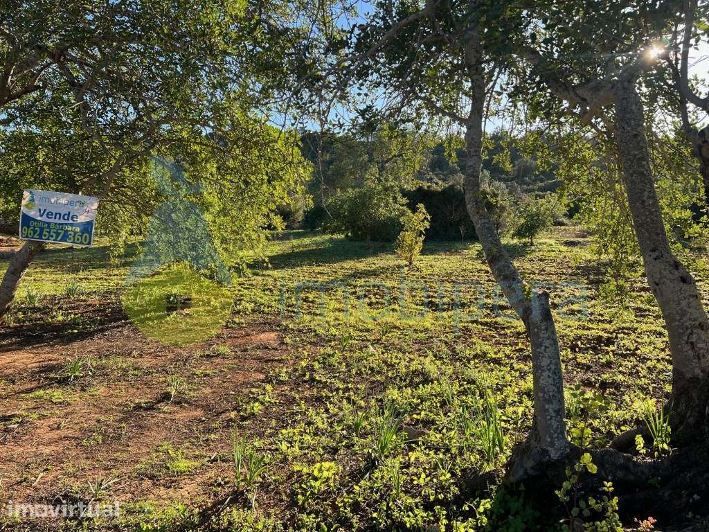 TERRENO RÚSTICO 2.900 m2 ZONA TRANQUILA LOCALIZADO ENTRE PADERNE E ... - Grande imagem: 3/11