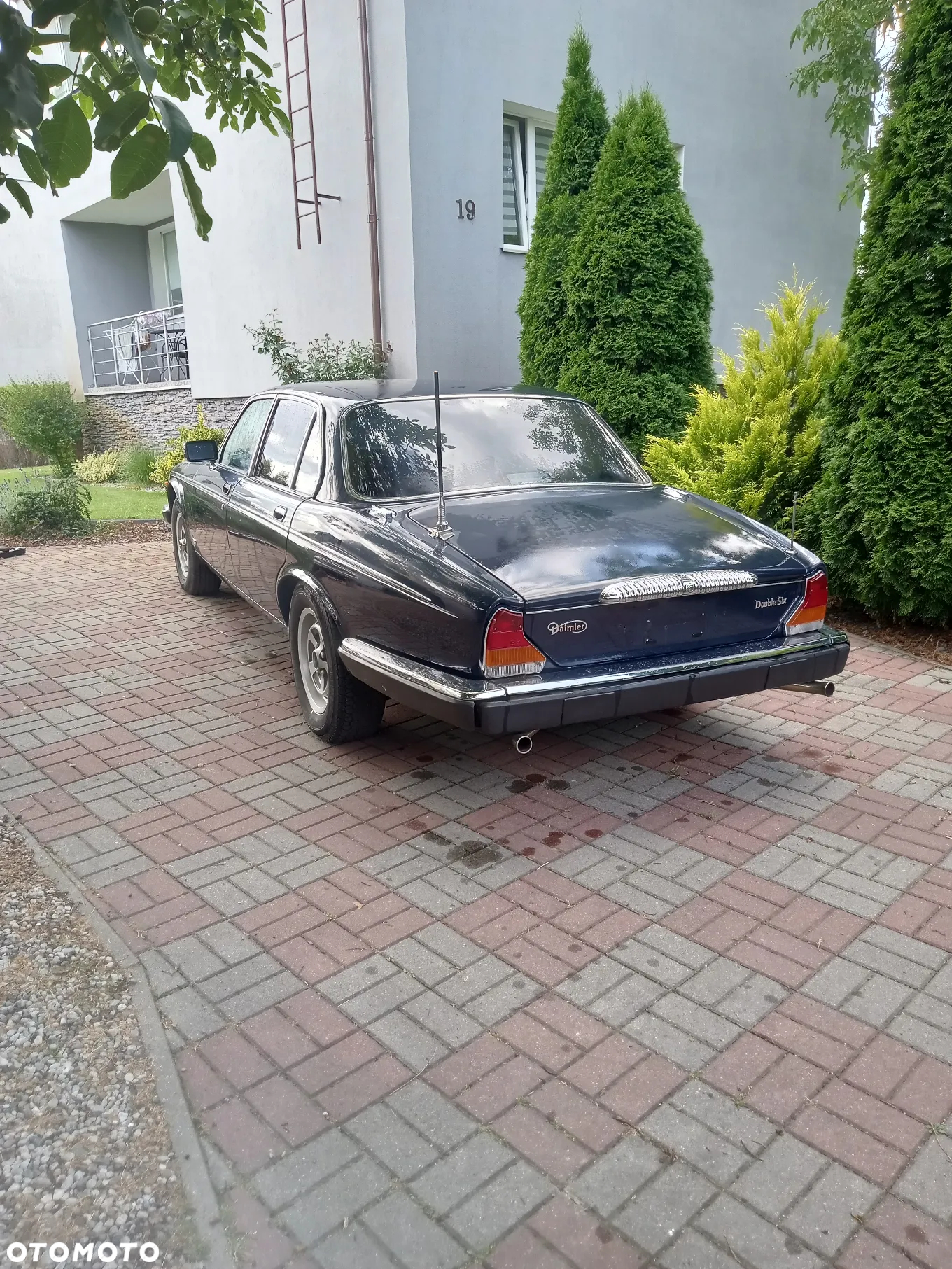 Jaguar Daimler Double Six 5.3i - 3