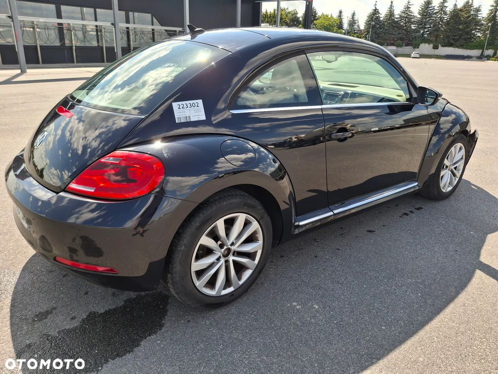 Volkswagen Beetle - 8