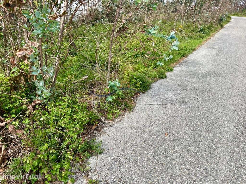 Terreno - Monte Real - Grande imagem: 4/12