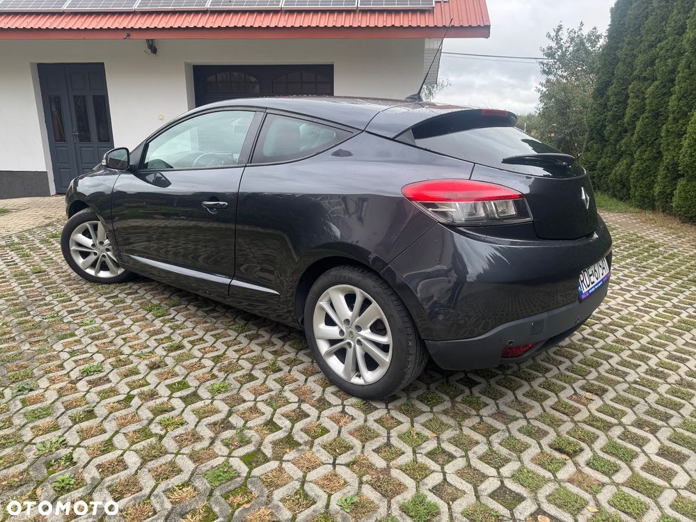 Renault Megane - 19