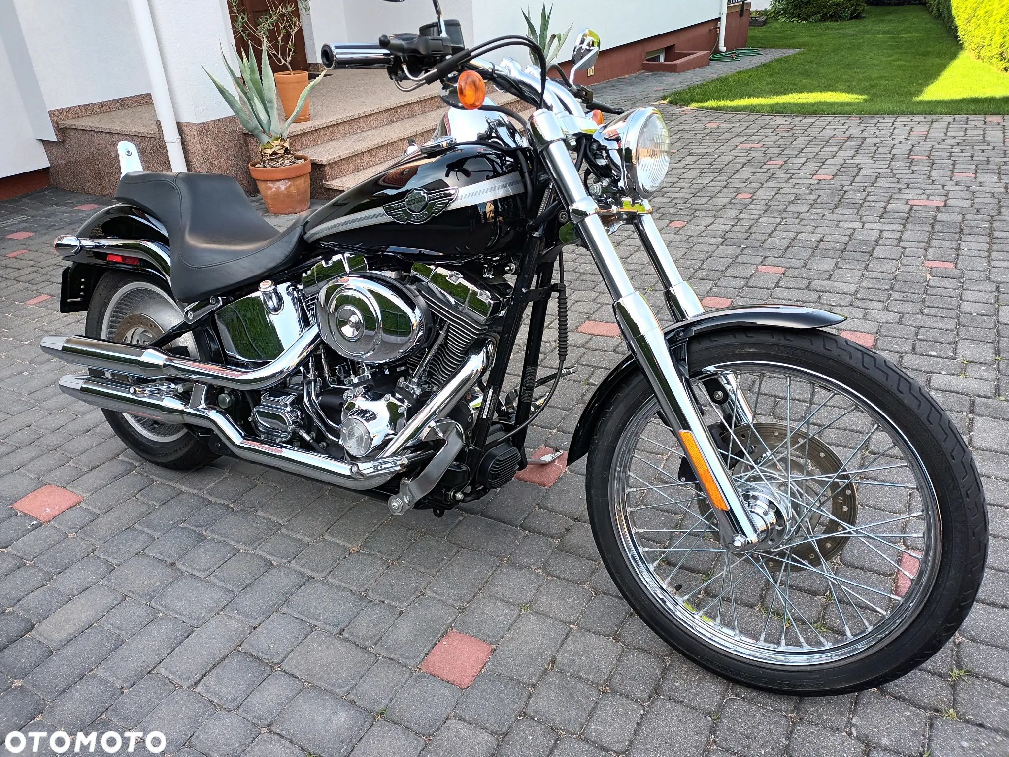 Harley-Davidson Softail - 1