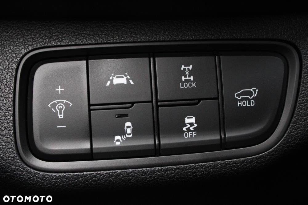 Hyundai Santa Fe - 21