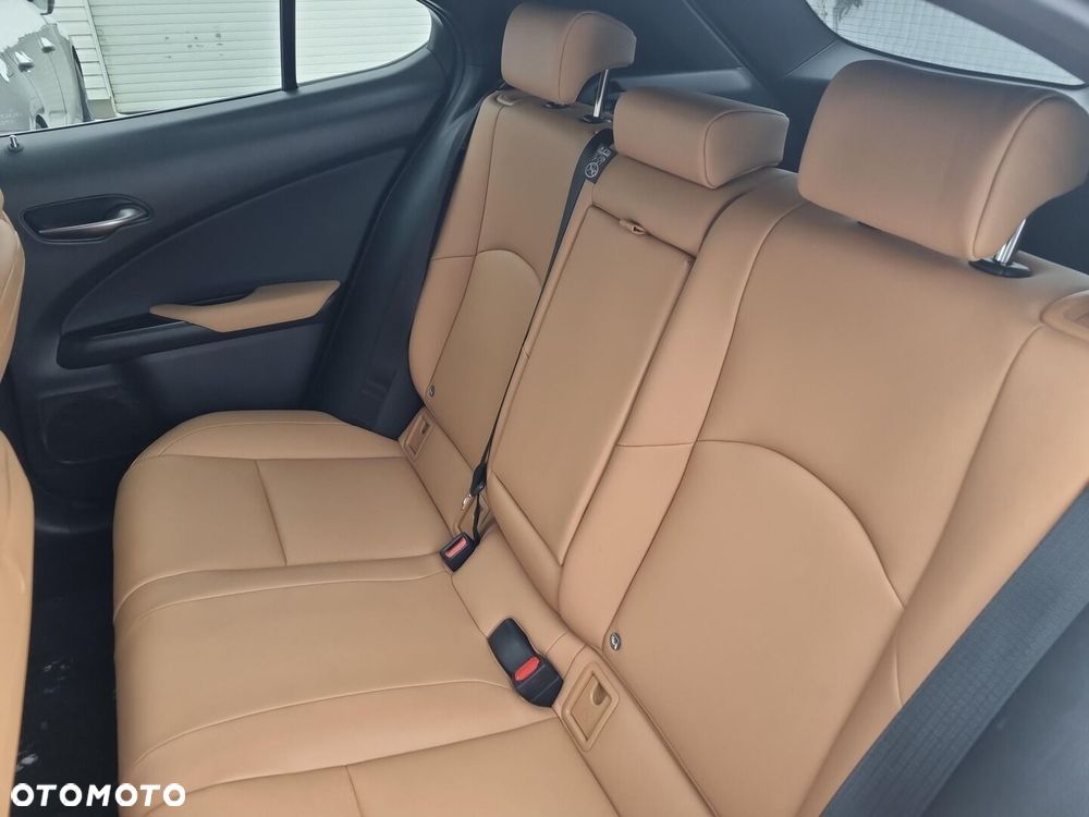 Lexus UX 300h F Sport Design - 15