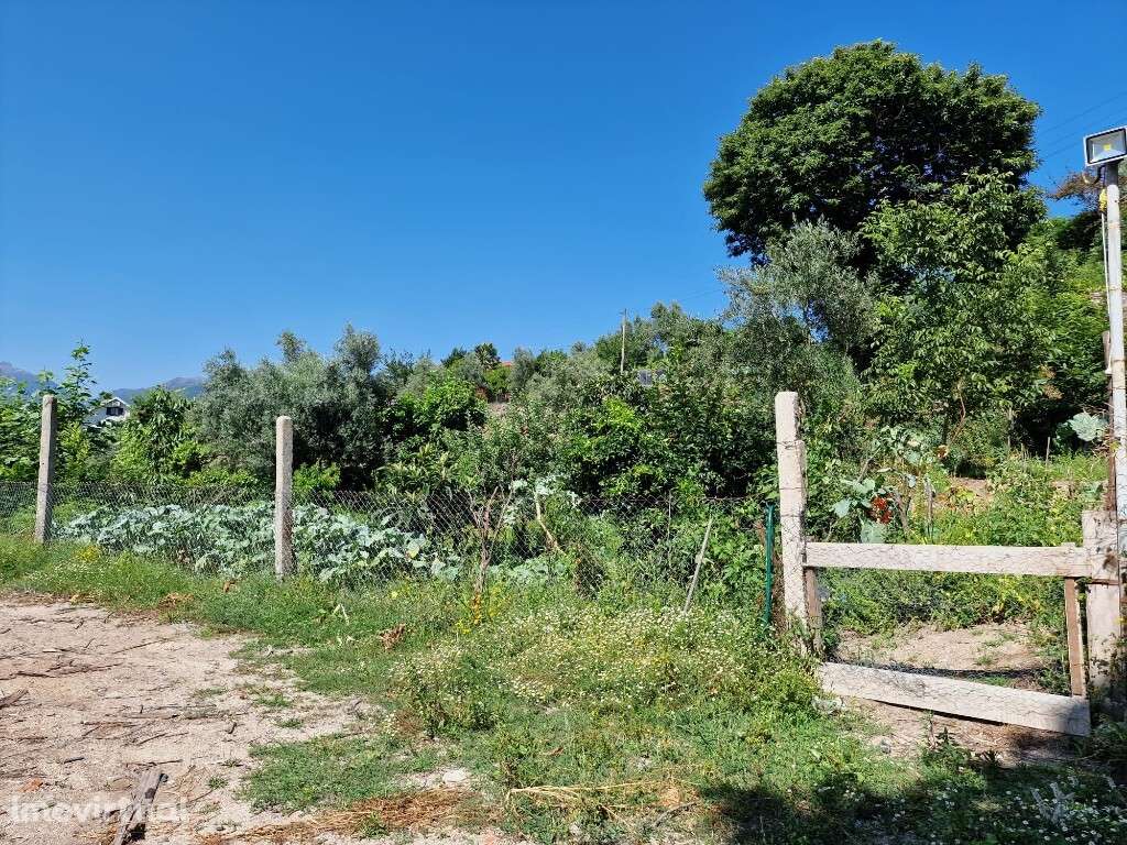 Moradia V3 - Ventosa - Grande imagem: 4/9