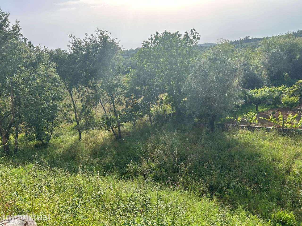 Terreno urbano em Soure - Encosta do Sol - Grande imagem: 2/10