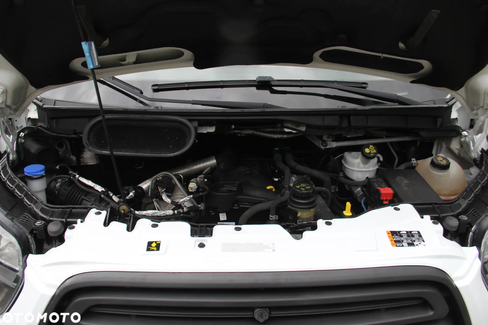 Ford TRANSIT - 13