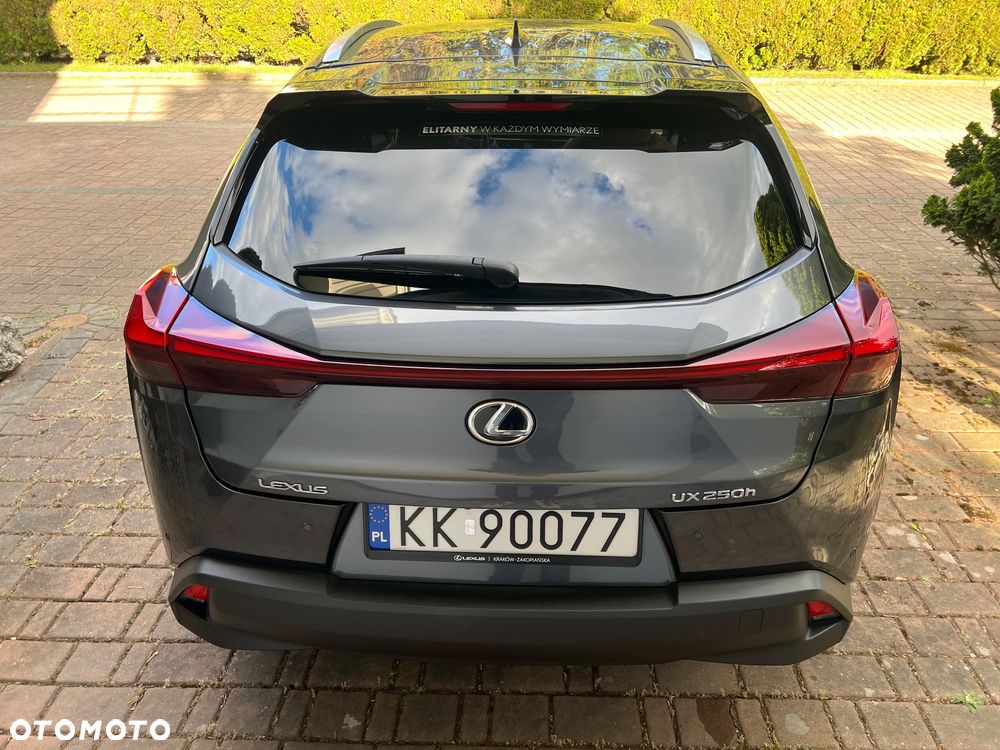 Lexus UX 250h GPF Business 2WD - 9