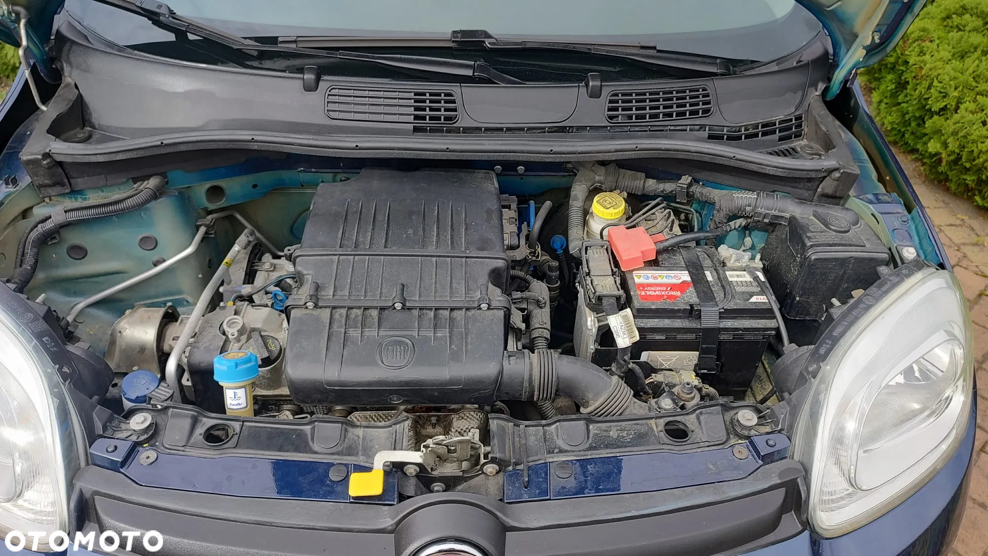 Fiat Panda 1.2 Lounge - 25