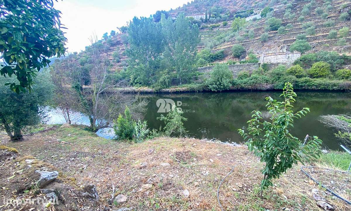 Terreno 12.600m² - Santo Aleixo - Grande imagem: 3/15