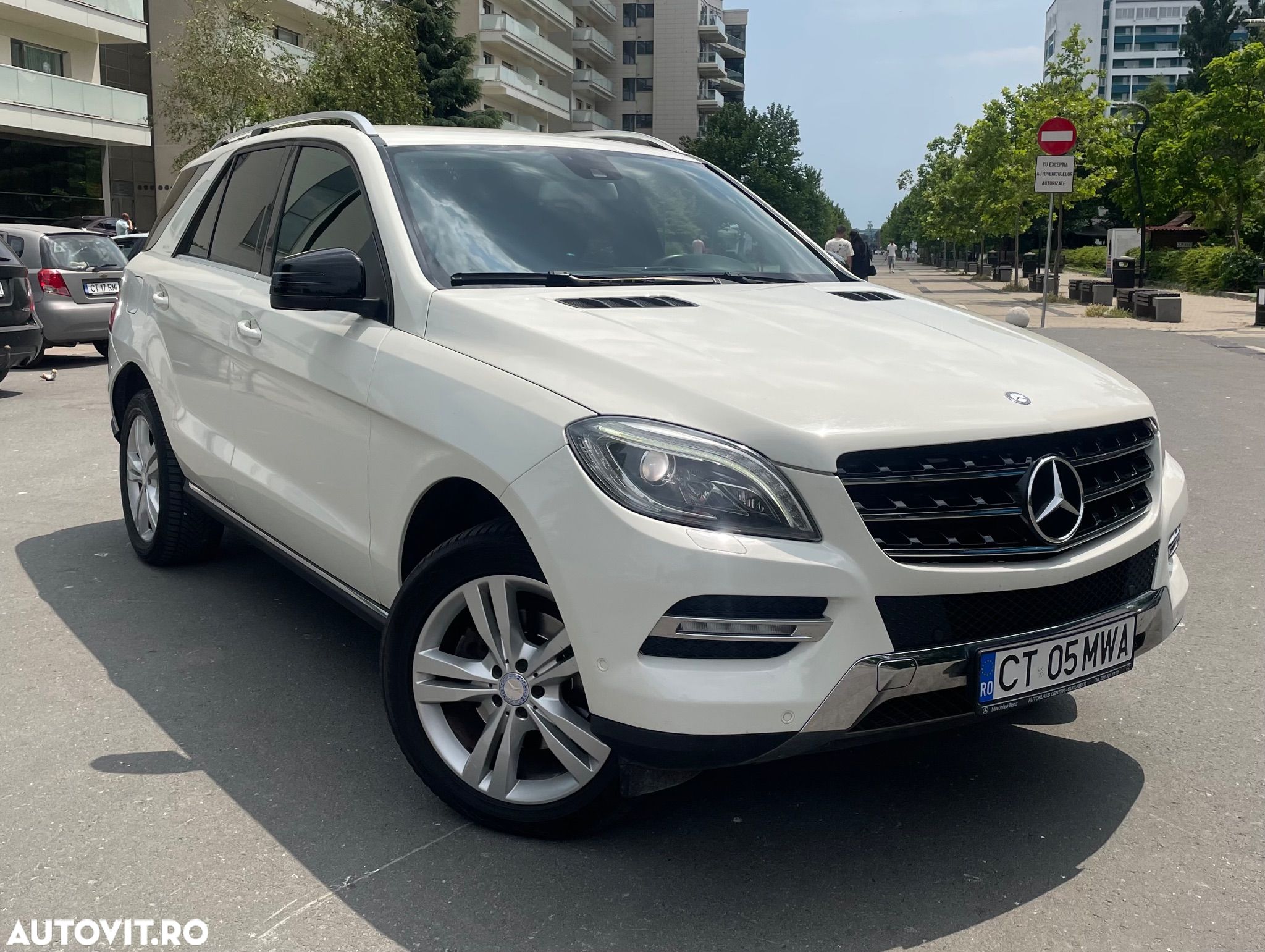 Mercedes-Benz ML 250 BlueTec 4MATIC Aut - 1