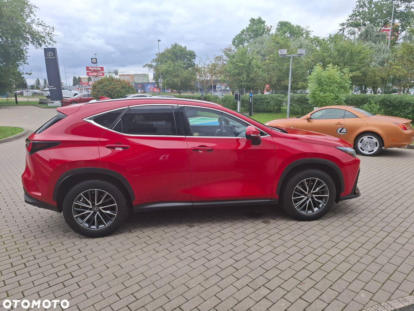 Lexus NX 350h Prestige AWD - 6