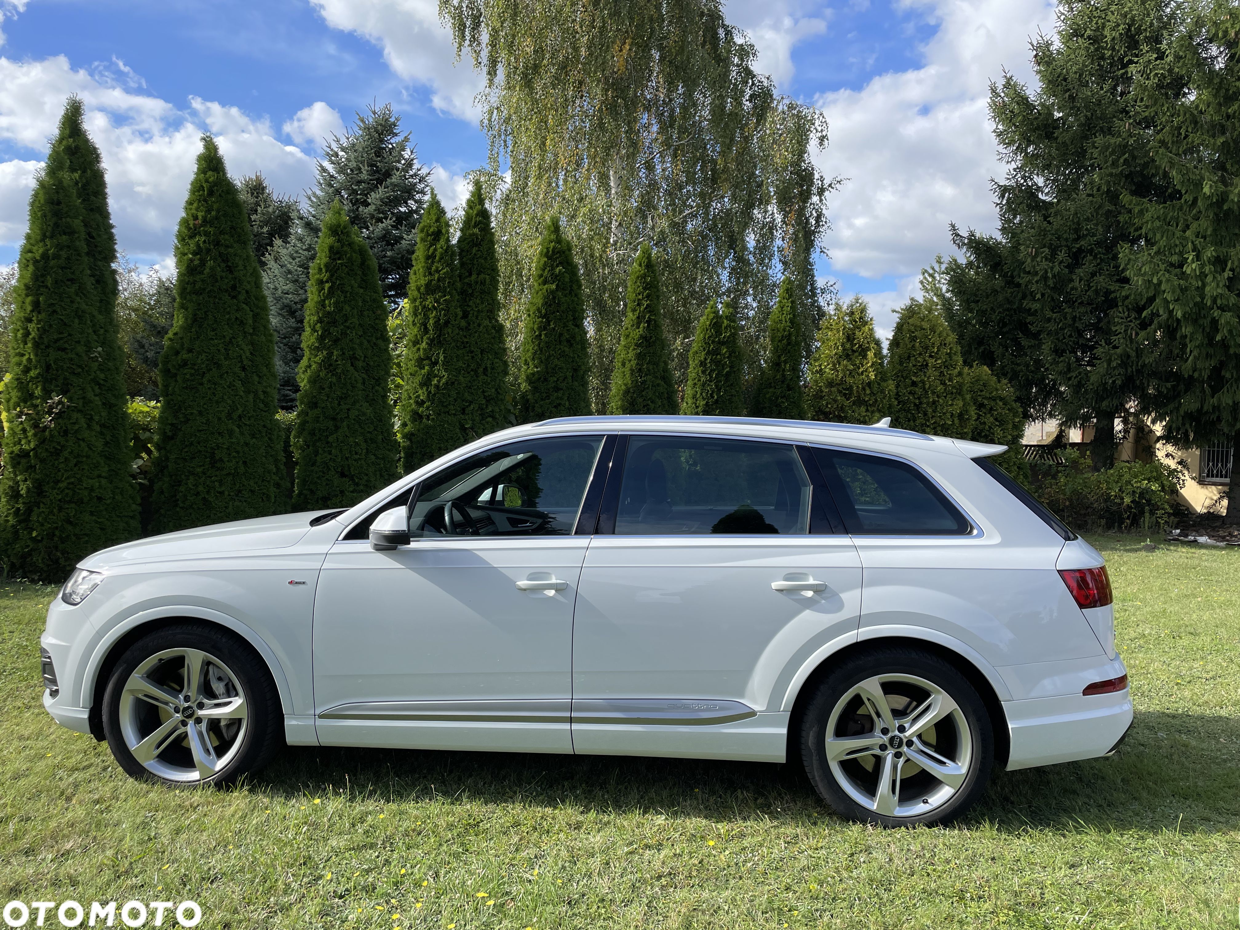 Audi Q7 3.0 TDI Quattro Tiptronic - 1