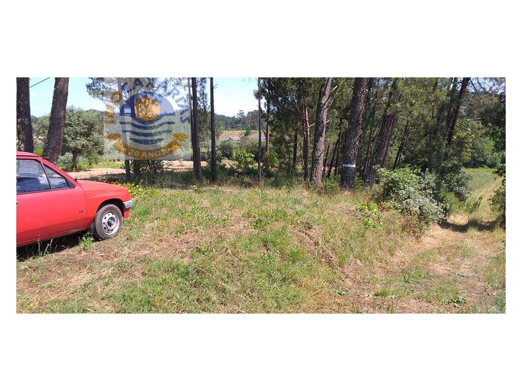 Terreno para construção. - Grande imagem: 3/4