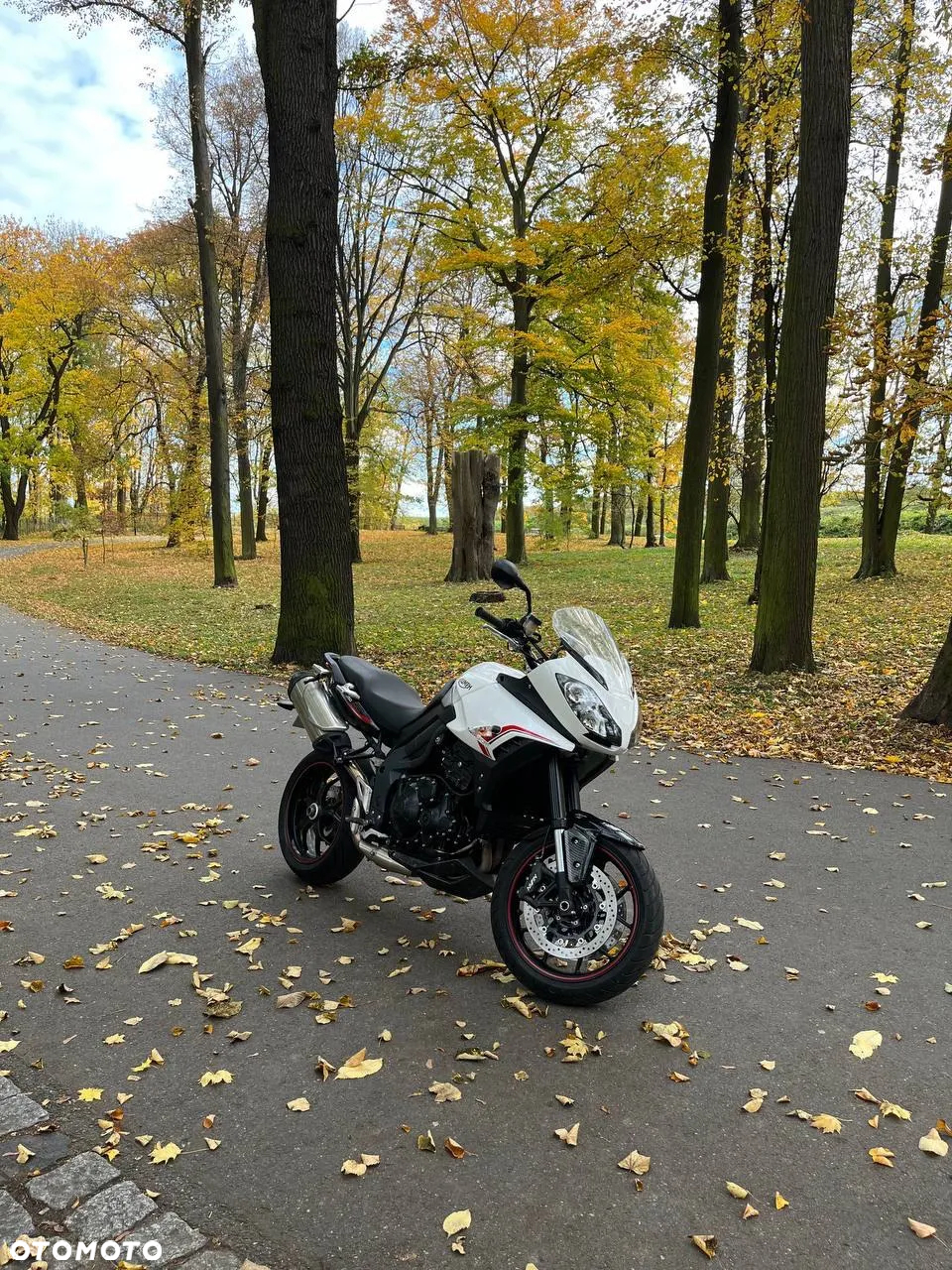 Triumph Tiger - 2