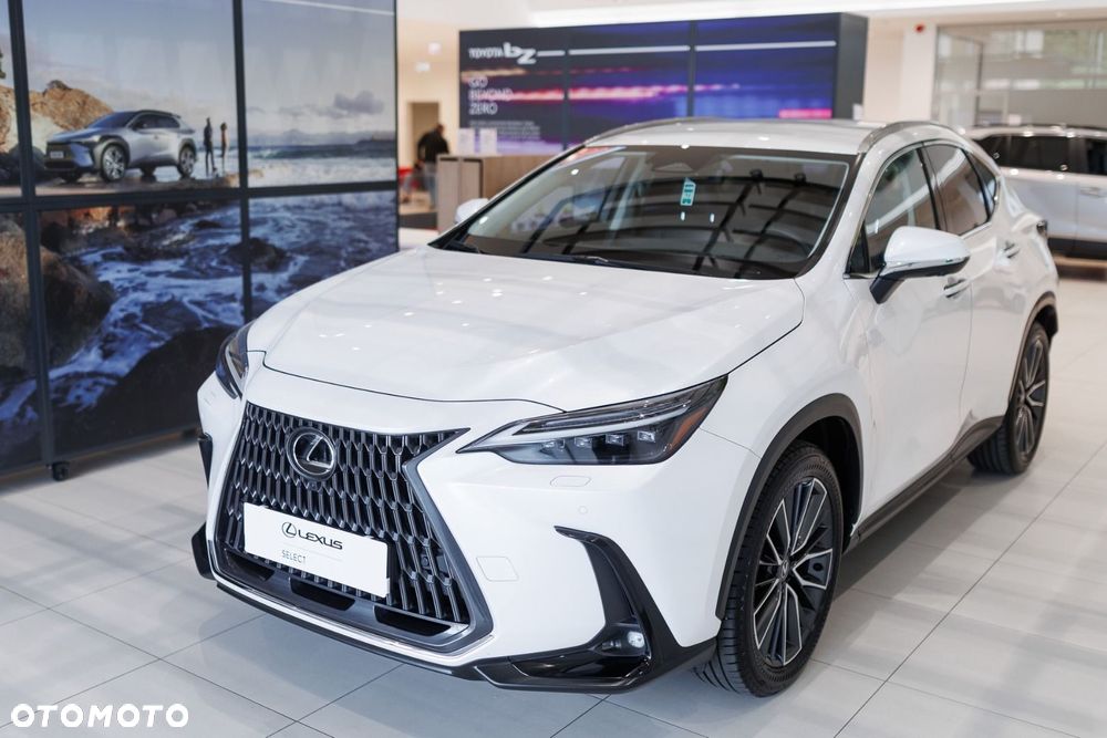 Lexus NX - 10
