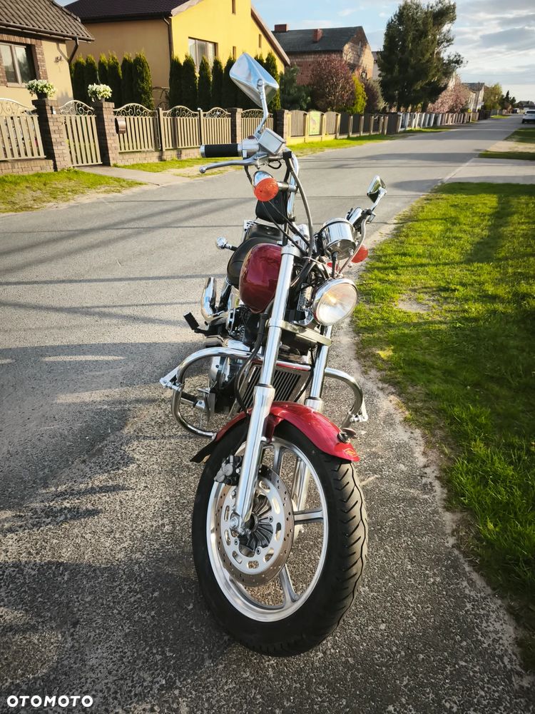 Honda Shadow - 5