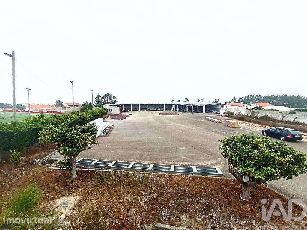 Terreno industrial em Vieira de Leiria - Grande imagem: 2/31