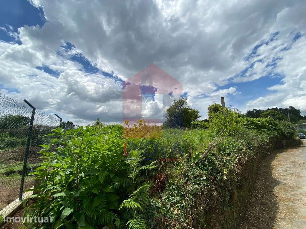 Terreno agrícola, Freiriz - Grande imagem: 4/9