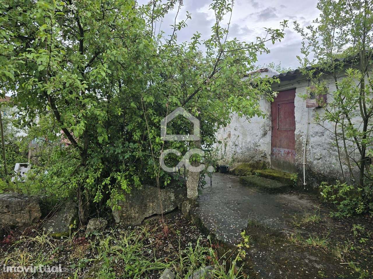 Moradias em Pevidem - Grande imagem: 4/6