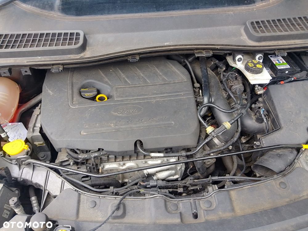 Ford Kuga 1.5 EcoBoost 2x4 Cool & Connect - 12
