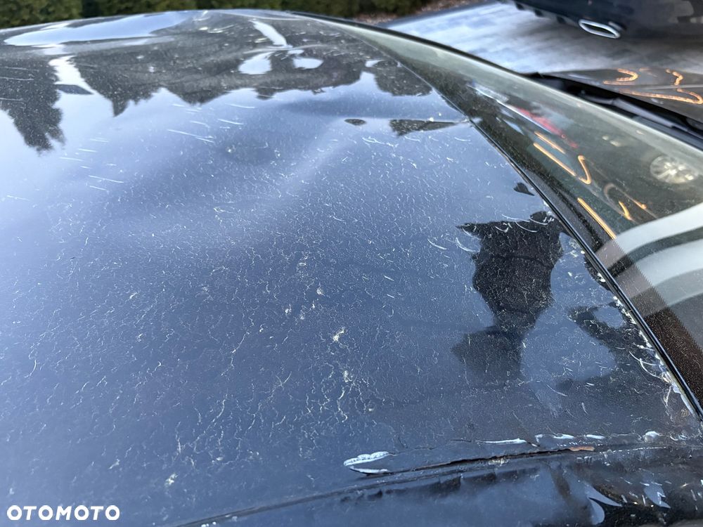 Volkswagen Golf - 33