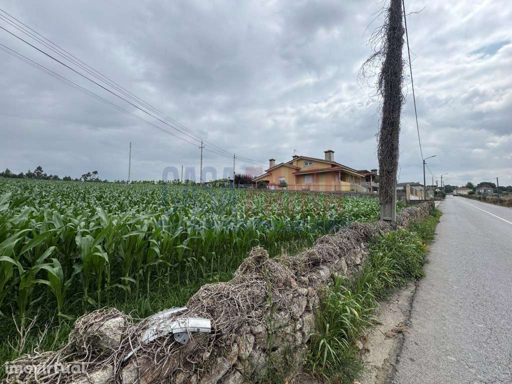 Terreno de Construção com 9.680 m² - Parada, Vila do Conde - Grande imagem: 2/23