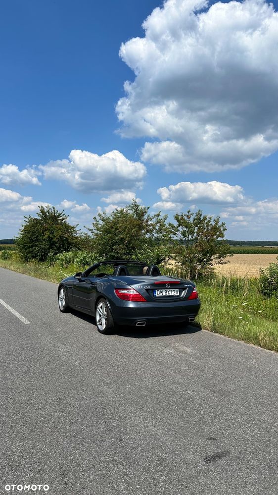 Mercedes-Benz SLK 250 CDI (BlueEFFICIENCY) 7G-TRONIC - 17