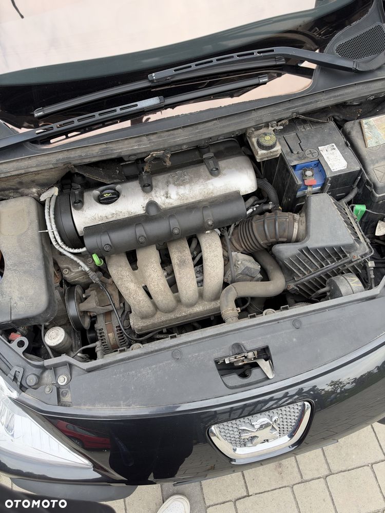 Peugeot 307 - 8