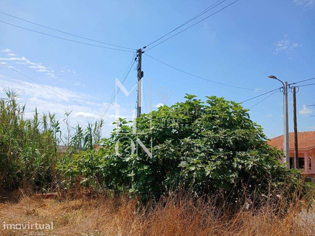 Terreno Urbanizável (c/2042m2 Area Total+17m frente) Ouca Vagos Aveiro - Grande imagem: 4/19