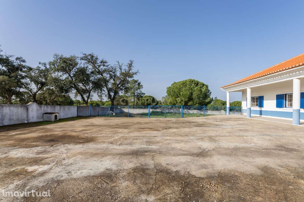 Moradia T4 em Herdade de 9,5 ha - Grande imagem: 3/60