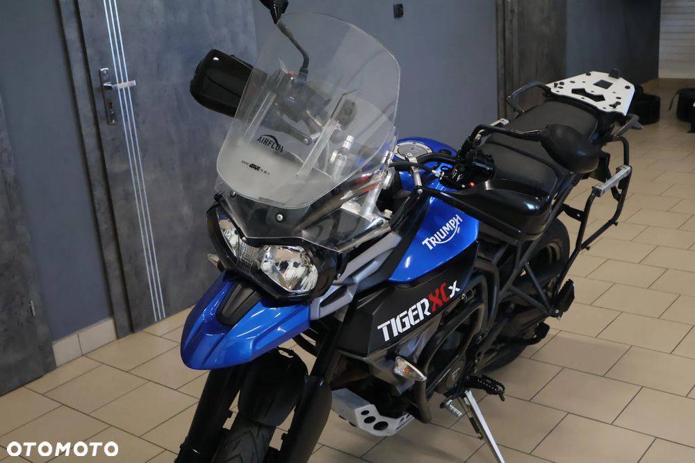 Triumph Tiger - 1