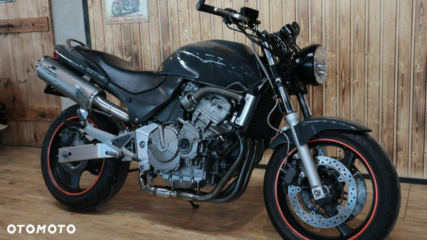 Honda Hornet