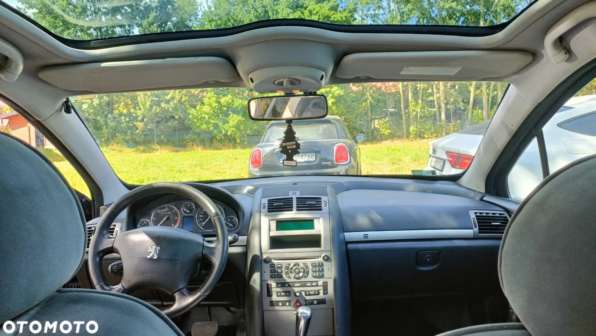 Peugeot 407 - 8