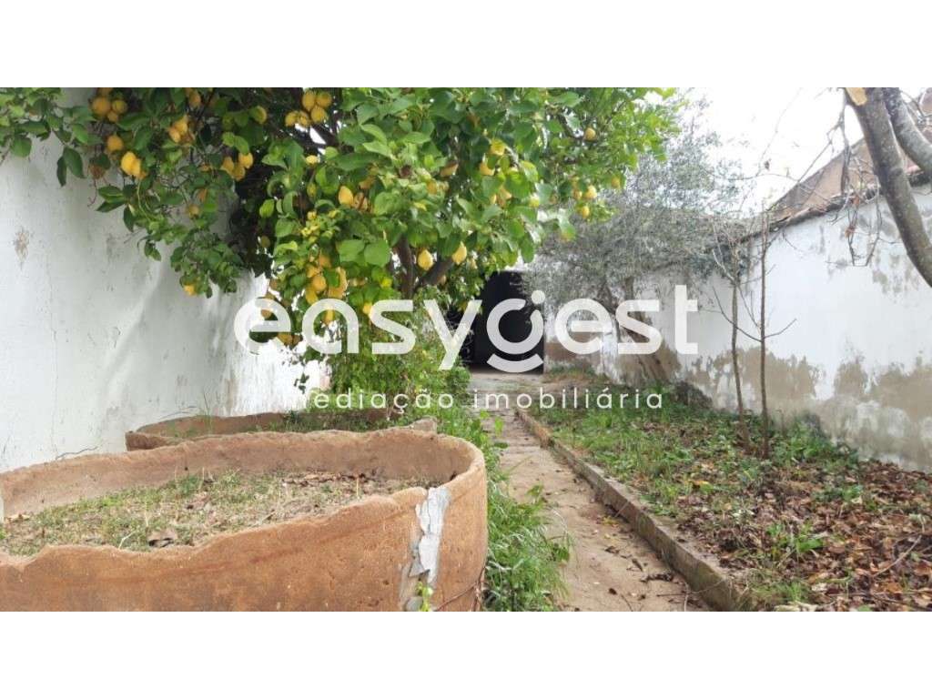 Moradia com loja de comércio localizada no centro de Safara - Grande imagem: 4/12