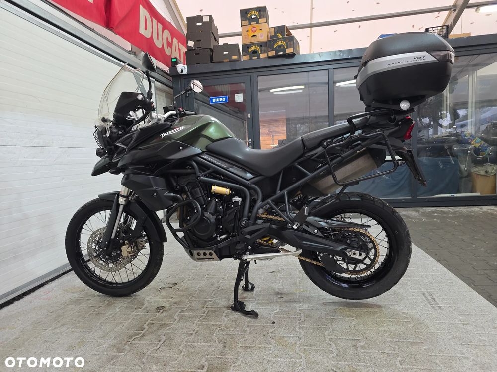 Triumph Tiger - 19