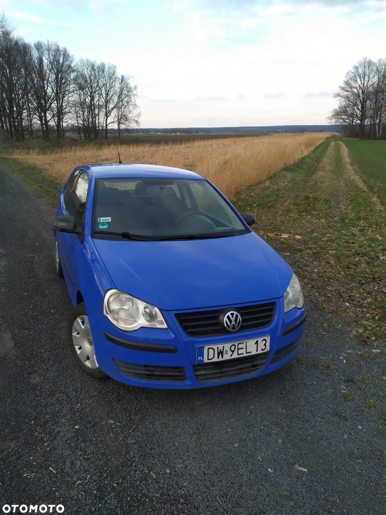 Volkswagen Polo - 1