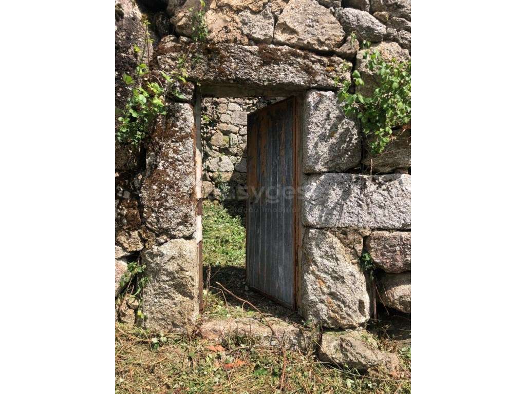 Quinta com 75.000m2, Linhares da Beira - Grande imagem: 3/11