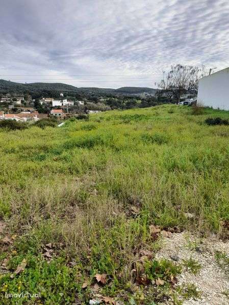 Terreno amplo com bons acessos - Grande imagem: 4/6