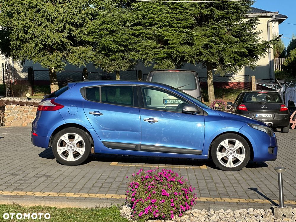 Renault Megane - 29