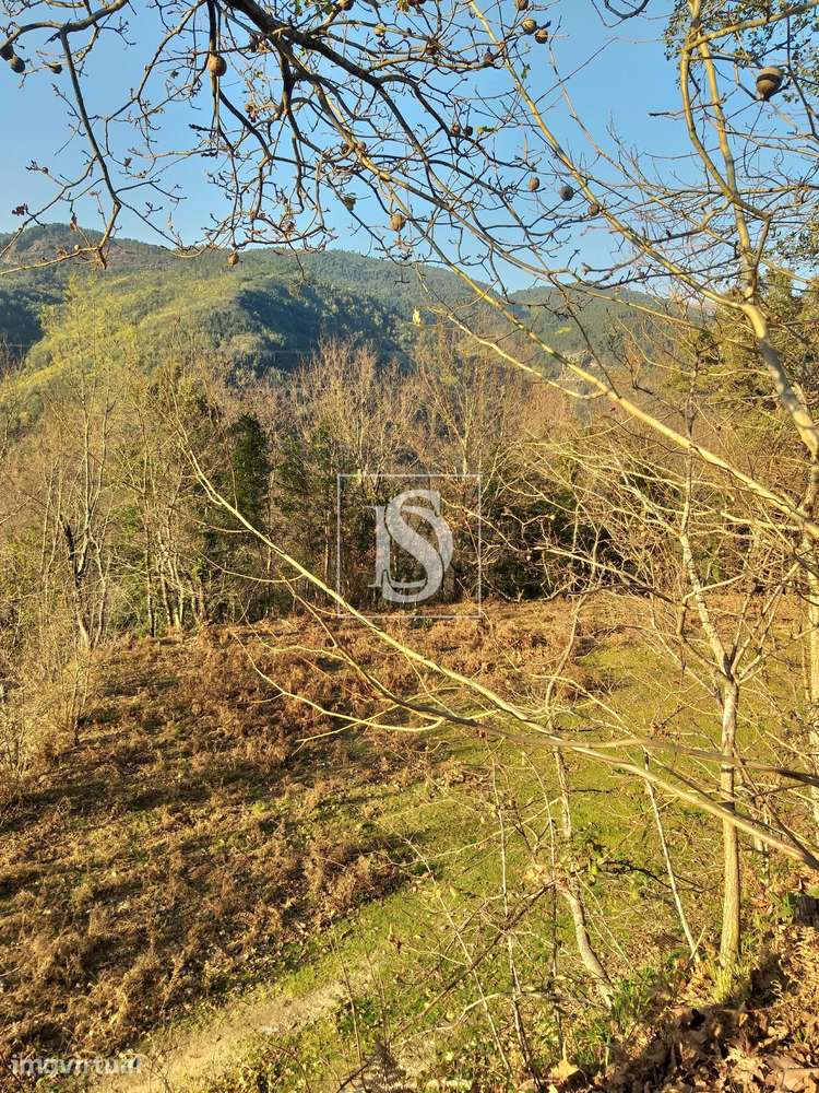 Terreno  Venda em Louredo,Vieira do Minho - Grande imagem: 5/11